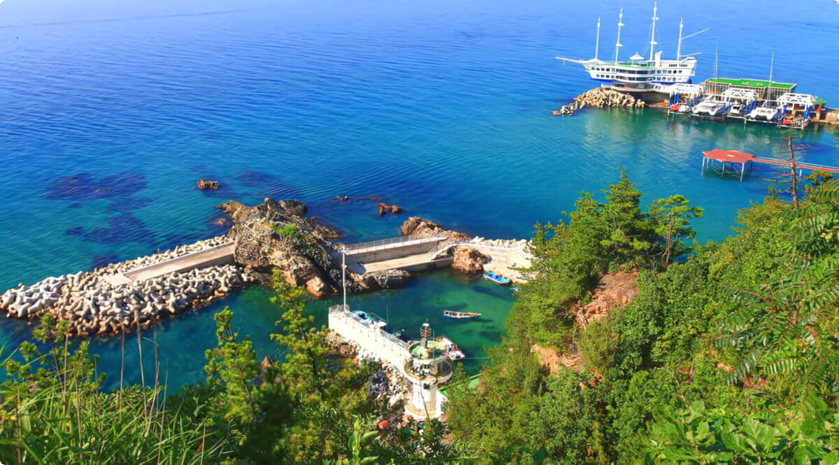 Jaké jsou nejoblíbenější volby vozidel v Gangneungu?